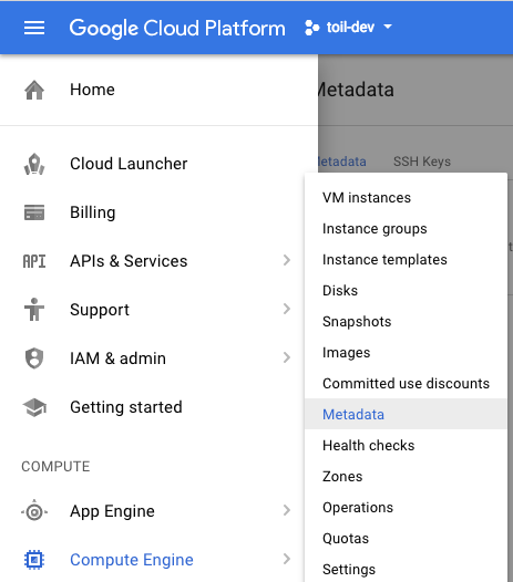 ../../_images/googleScreenShot.png
